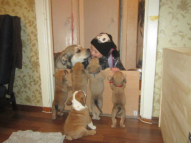    .... ))))))))))))))))