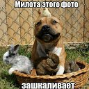 ���� �������, ������, 72 ���� - ��������� 23 ����� 2015 � ������ �������� ���������