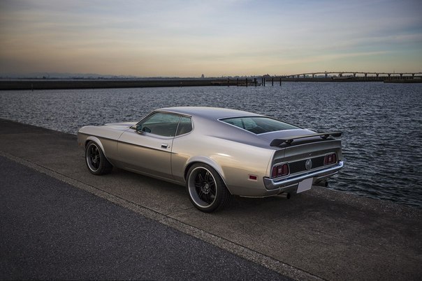 Ford Mustang Mach 1 - 6