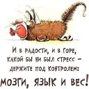 ���� �����, ���������, 37 ��� - ��������� 15 ������� 2014 � ������ ������ ��������