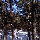 ���� ������� �, ��������, 59 ��� - ��������� 21 ������� 2015 � ������ ���� ����������