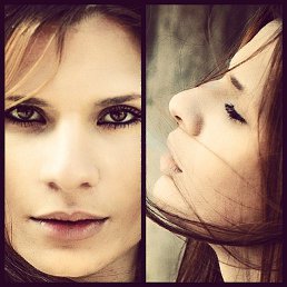 ���� �����, ������, 41 ��� - ��������� 21 ������� 2014