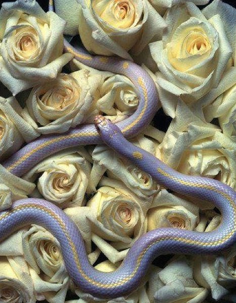   - 24  2015  14:45 - 5