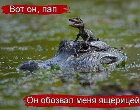))) - 25  2014  10:39