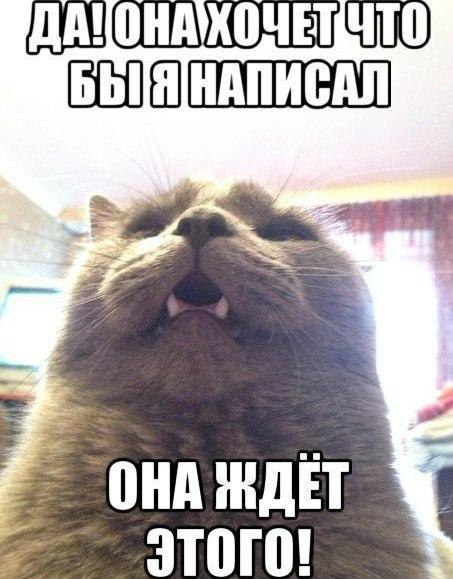    :D - 29  2015  05:45 - 4