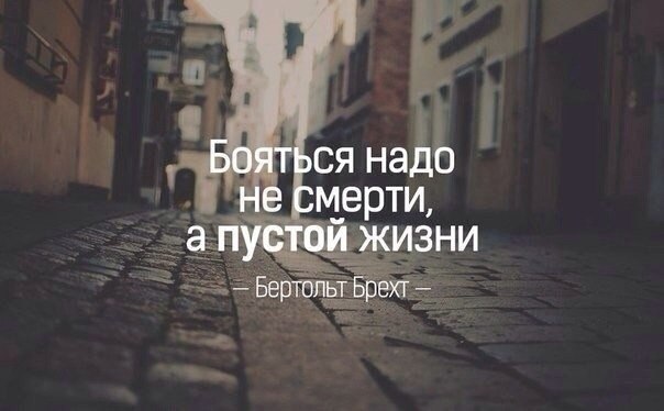  - 8  2015  11:02