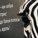 ���� ������, ���������, 49 ��� - ��������� 26 ����� 2015 � ������ ������ ��������