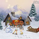 ���� ������ ���., ������, 26 ��� - ��������� 14 ������ 2015 � ������ �Tropikania�