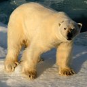 ��� ����� ��� ����� �������.............. �� ������� ���� ����������