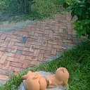 ���� ���������, �����, 46 ��� - ��������� 13 ������� 2014 � ������ ����������������� ���������� �������