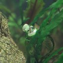 ���� V�������, ��������� - ��������� 4 ����� 2015 � ������ �������