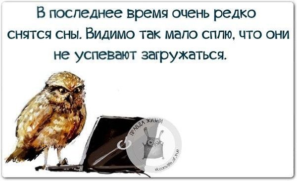   - 8  2015  13:44