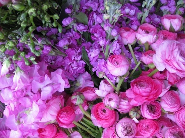 The Lady - 9  2015  21:09 - 2