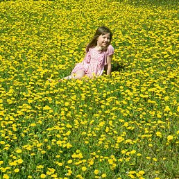 ����, ����������, 40 ���