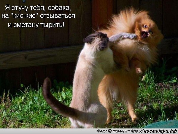 ������ - 13 ����� 2015 � 03:03