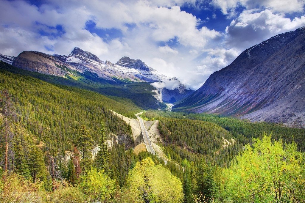     .   (Kevin McNeal),  . ... - 7