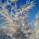 ���� ������, ����, 45 ��� - ��������� 8 ������ 2015