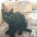 ���� �������, ����������, 60 ��� - ��������� 8 ������� 2015