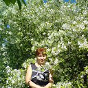 ���� �������, �����, 68 ��� - ��������� 24 ������� 2014