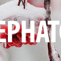 ���� �������� �, ���������� - ��������� 25 ������ 2015 � ������ ���������� ������