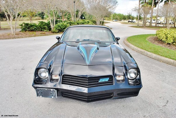 1981 Chevrolet Camaro Z/28 - 5