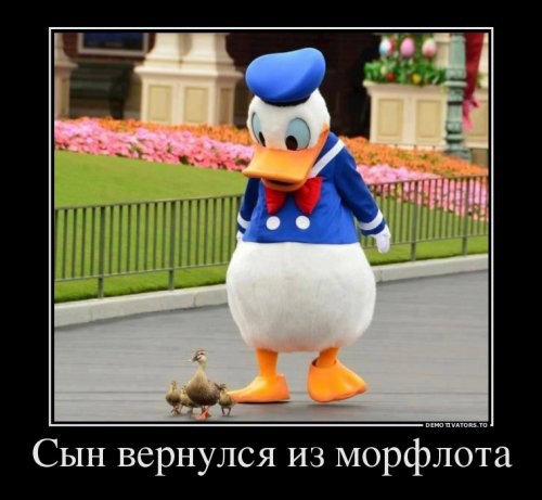  - 1  2015  04:58