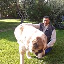 ����� �� ������� ���� ����������