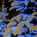 ���� �����, ����� - ��������� 2 ������ 2015 � ������ ������ ��������