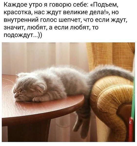 ** - 9  2015  15:06