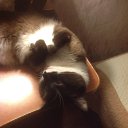 ���� D, ������, 46 ��� - ��������� 7 ������ 2015 � ������ ���� ����������