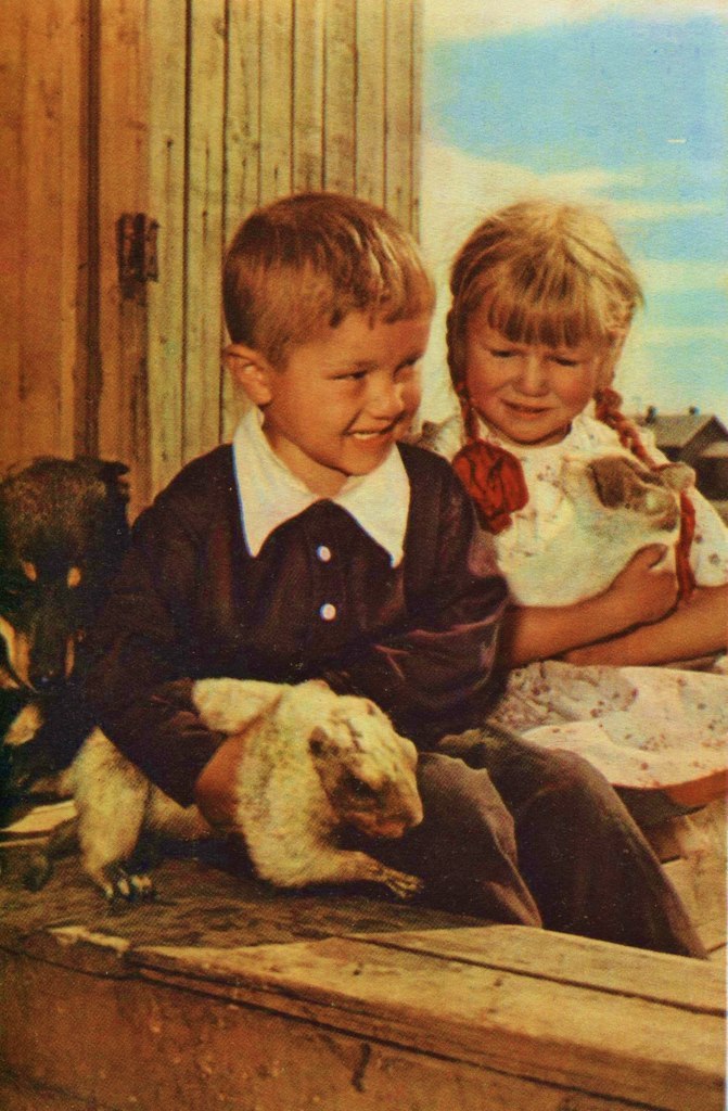 1956 .