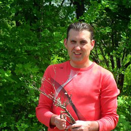 ���� ������, ������ ���, 43 ���� - ��������� 12 ������ 2015