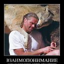 ���� Volk, �����, 67 ��� - ��������� 5 ����� 2015 � ������ ���� ����������