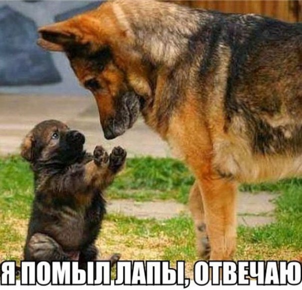   ,  : <a href=