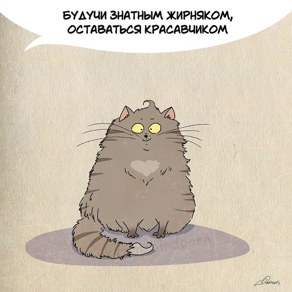 1 марта отмечается День кошек в России :).Нам есть чему поучиться у шерстяных говнюков! - 9