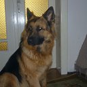&quot; RUFUS&quot; :-)    