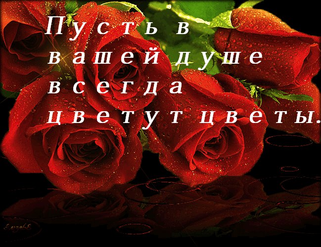Lev. - 11  2015  23:46