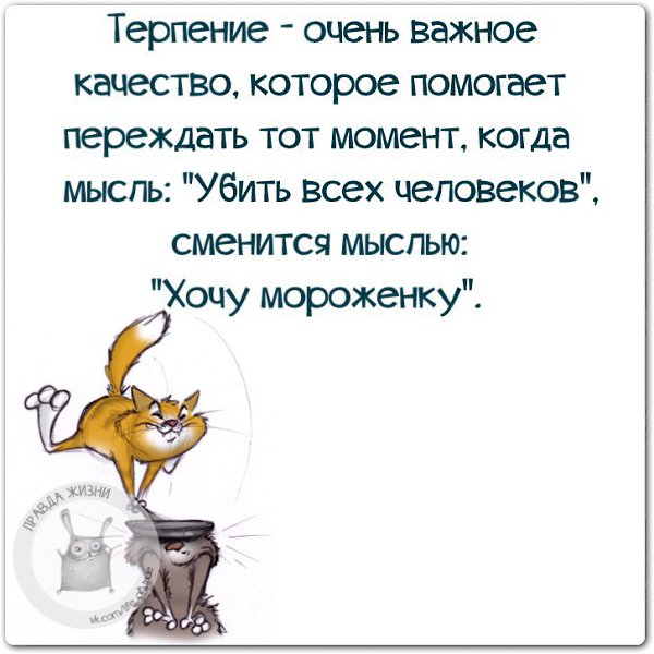   - 19  2015  20:42