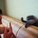 ���� ��������, ������� - ��������� 14 ����� 2015 � ������ ������ ��������