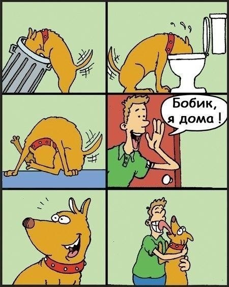   - 22  2015  11:32