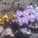 ���� ������, �������, 43 ���� - ��������� 10 ������ 2015 � ������ ���� ��������!!!!!�