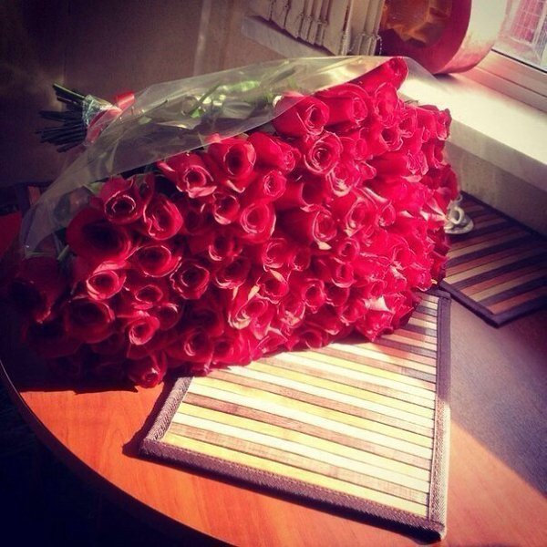 ������� | ���� 2016 | ������ | �������� | ������ - 4 ������ 2015 � 22:35 - 6