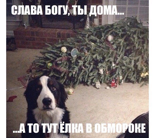 ))) - 14  2015  21:37