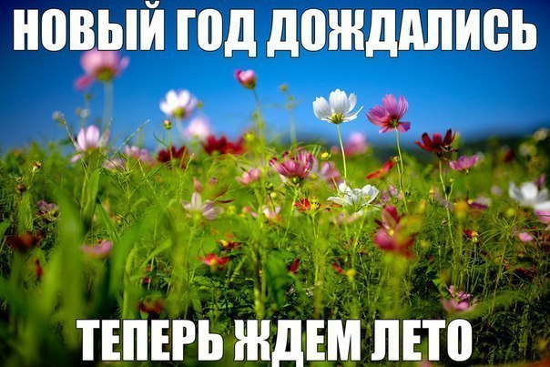    :-) - 5  2015  11:07