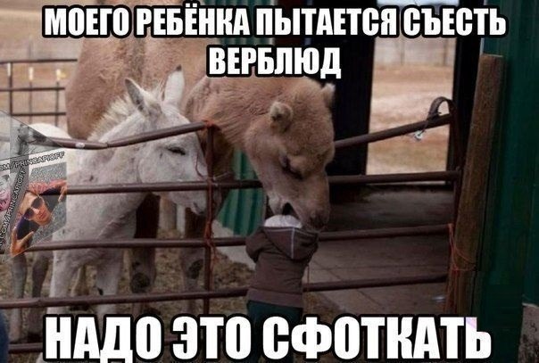    :D - 26  2015  01:38
