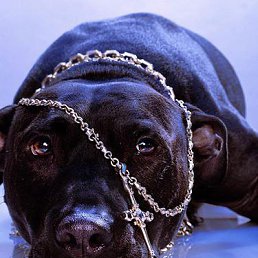 ����, �������, 27 ���