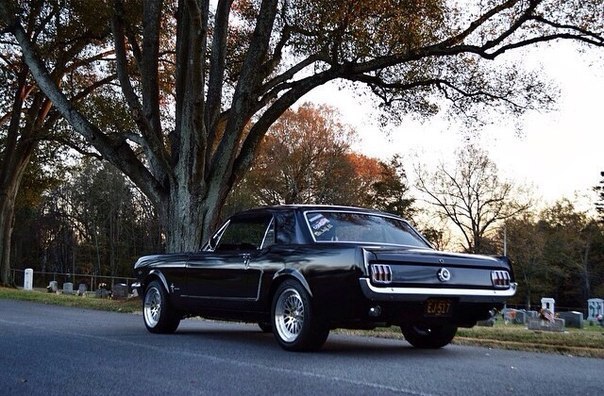 Ford Mustang - 2