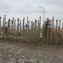  , , 69  -  6  2015   .  