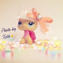 ���� Kota^3^, �����������, 22 ���� - ��������� 27 ������� 2015 � ������ ���� ����������