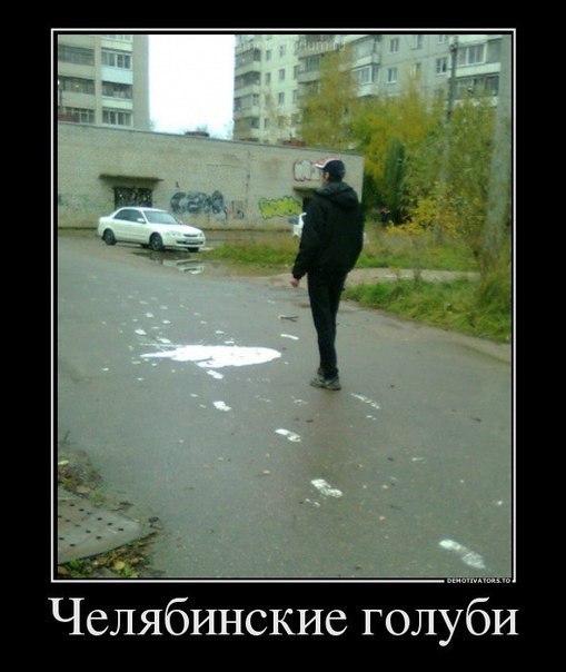 ☆   ☆ - 7  2015  19:40